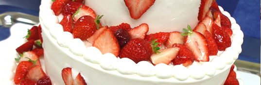 一軒貸切 岡山県 北長瀬の結婚式場 TERRA -テラ-