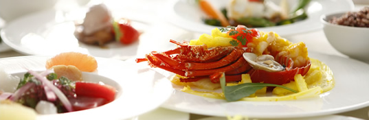 一軒貸切 岡山県 北長瀬の結婚式場 TERRA -テラ-